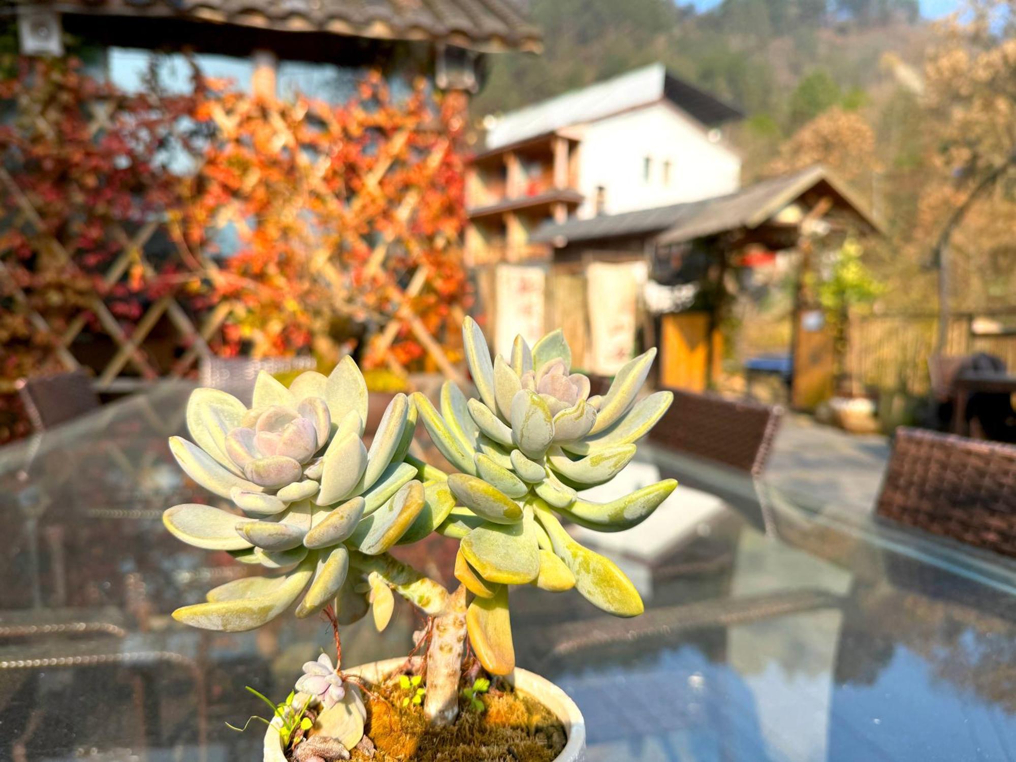 Zhangjiajie Forest Park Youth Hostel Екстериор снимка